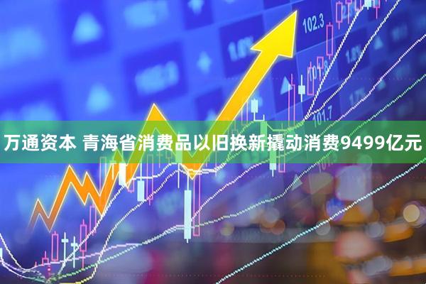 万通资本 青海省消费品以旧换新撬动消费9499亿元