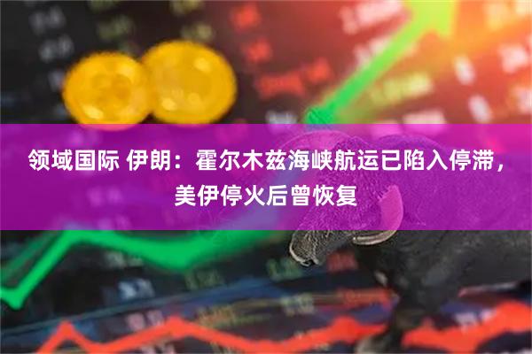 领域国际 伊朗：霍尔木兹海峡航运已陷入停滞，美伊停火后曾恢复