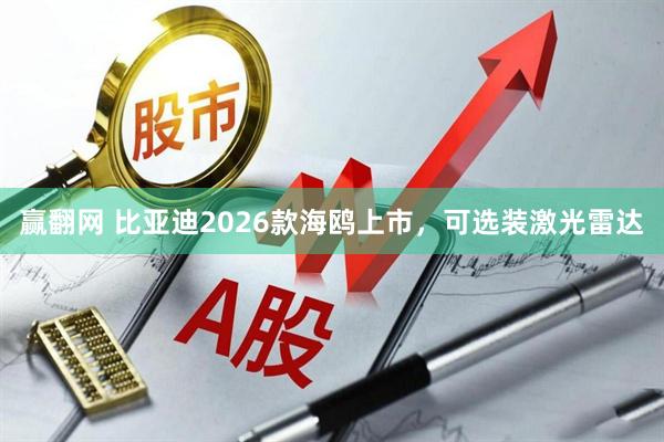 赢翻网 比亚迪2026款海鸥上市，可选装激光雷达