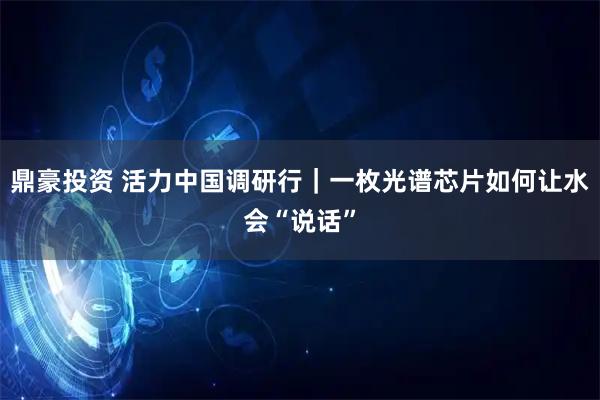 鼎豪投资 活力中国调研行｜一枚光谱芯片如何让水会“说话”